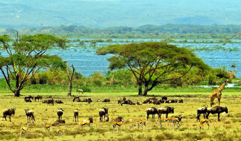 Top 15 Places to Visit Along the Kenya Coast for Beach and Safari Holidays 2026