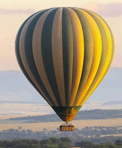 Afrovista Expedition - kenya Safari - Massai Mara - Lake Nakuru Park - Amboselli - Lake Naivasha Park - gallery-3