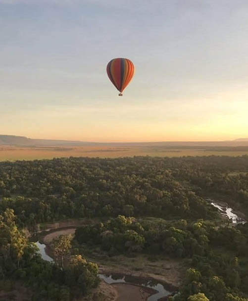 Afrovista Expedition - kenya Safari - Massai Mara - Lake Nakuru Park - Amboselli - Lake Naivasha Park - gallery-3e