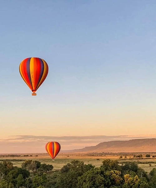 Afrovista Expedition - kenya Safari - Massai Mara - Lake Nakuru Park - Amboselli - Lake Naivasha Park - gallery-3f