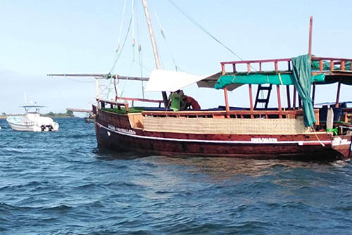 Afrovista Expedition - kenya Safari - Massai Mara - Lake Nakuru Park - Amboselli - Lake Naivasha Park - gallery-5f