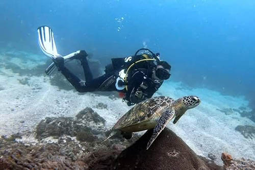 Afrovista Expedition - kenya Safari - Massai Mara - Lake Nakuru Park - Amboselli - Lake Naivasha Park - gallery-5g