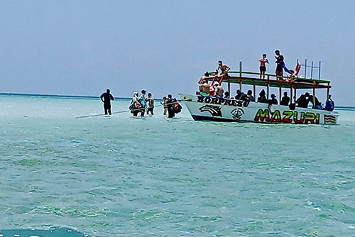 Afrovista Expedition - kenya Safari - Massai Mara - Lake Nakuru Park - Amboselli - Lake Naivasha Park - gallery-5h