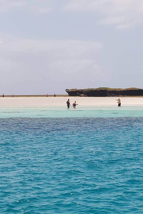 Afrovista Expedition - kenya Safari - Massai Mara - Lake Nakuru Park - Amboselli - Lake Naivasha Park - gallery-5kjpg