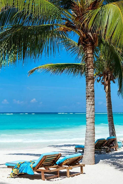 Afrovista Expedition - kenya Safari - Massai Mara - Lake Nakuru Park - Amboselli - Lake Naivasha Park - gallery-5l