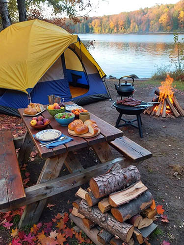 Afrovista Expedition - kenya Safari - Massai Mara - Lake Nakuru Park - Amboselli - Lake Naivasha Park - gallery-images-1