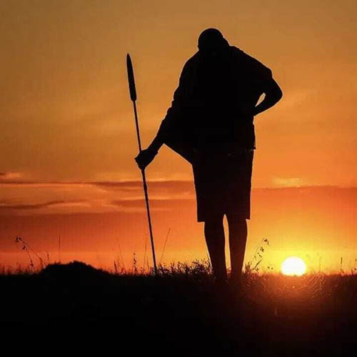 Afrovista Expedition - kenya Safari - Massai Mara - Lake Nakuru Park - Amboselli - Lake Naivasha Park - gallery-images-8