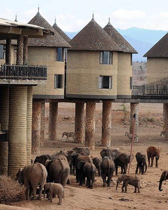 Afrovista Expeditions Image - Safari Masai Mara - destination6a
