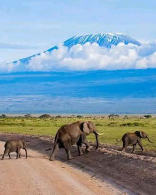 Afrovista Expeditions Image - Safari Masai Mara - tour image 21b