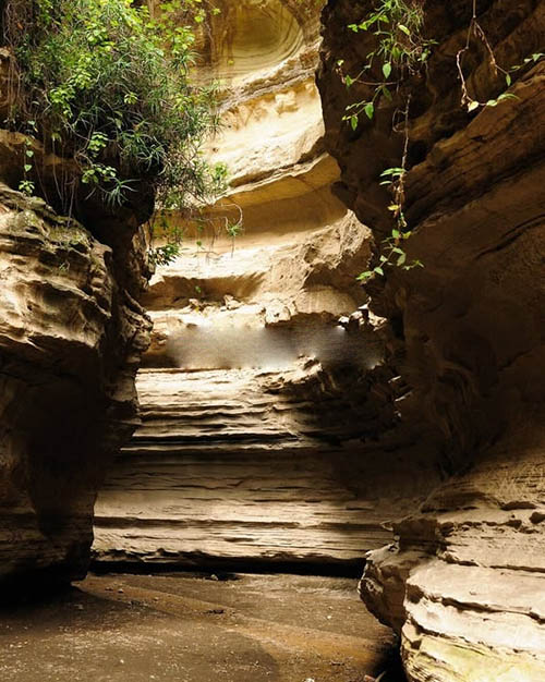 Afrovista Expeditions Image - Safari Masai Mara - tour image 21l