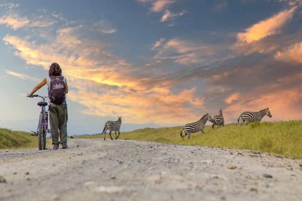Afrovista Expeditions Safari Travel 11