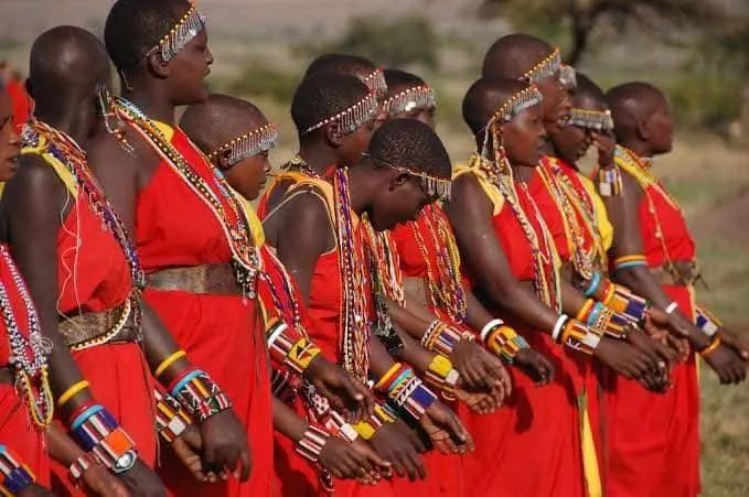 Afrovista Expeditions Safari Travel 40