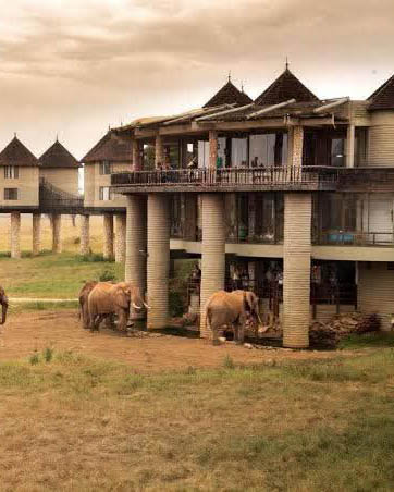 Afrovista Expeditions Image - Safari Masai Mara - destination 7