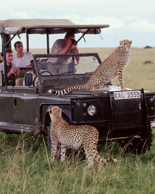 Afrovista Expeditions Image - Safari Masai Mara - destination5