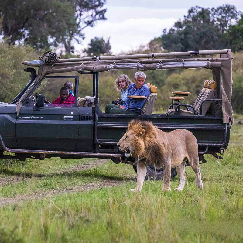 Afrovista Expeditions Image - Safari Masai Mara - tour image 6